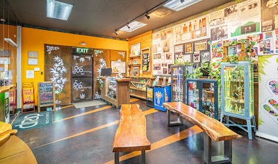 Arizona Natural Concepts Marijuana Dispensary