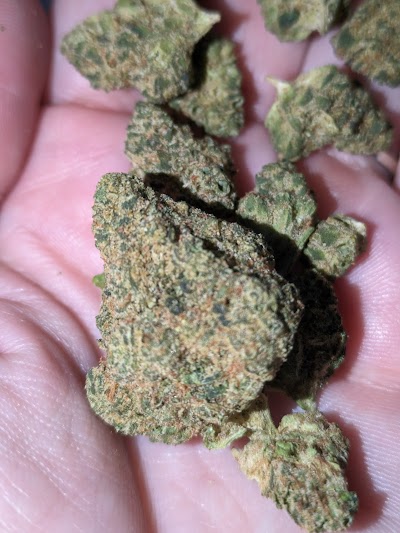 Ascend Cannabis Dispensary - New Bedford