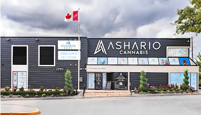 Ashario Cannabis Dispensary Weed Store – Woodbridge, Thornhill, Vaughan, North York