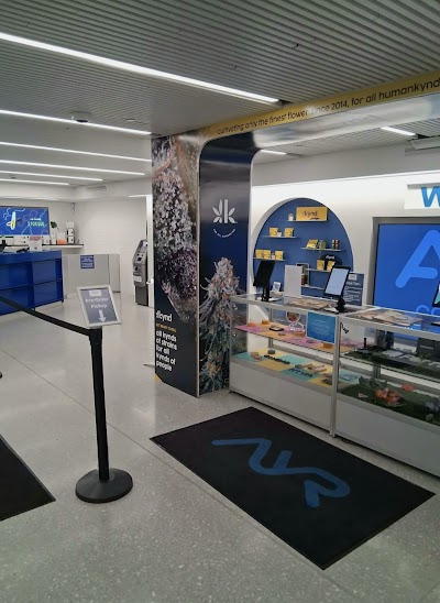 AYR Cannabis Dispensary - Back Bay