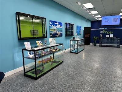 AYR Cannabis Dispensary Florida City