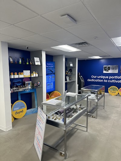 AYR Cannabis Dispensary Fort Myers Cleveland