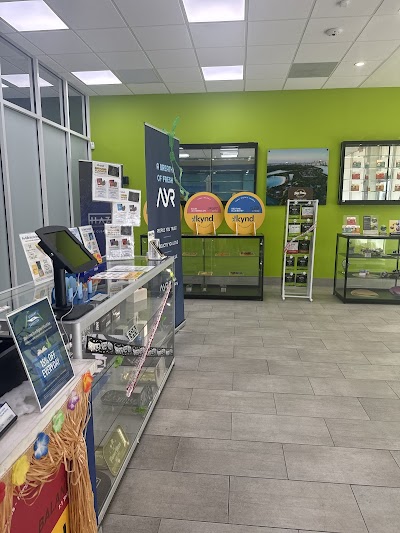 AYR Cannabis Dispensary Hollywood