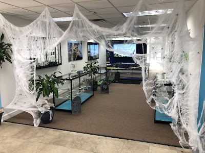 AYR Cannabis Dispensary Palm Bay