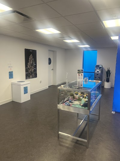 AYR Cannabis Dispensary Palm Beach Gardens