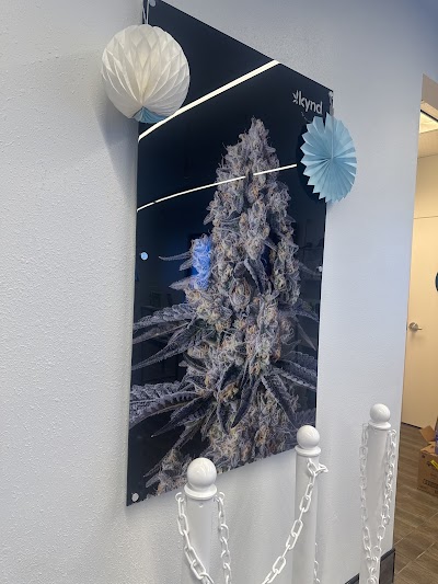 AYR Cannabis Dispensary Pensacola Mobile