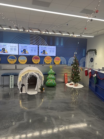 AYR Cannabis Dispensary Tampa Kennedy