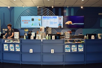 AYR Cannabis Dispensary Tampa S. Dale Mabry