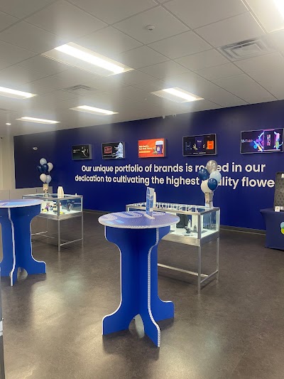 AYR Cannabis Dispensary Winter Haven (Cypress Gardens)