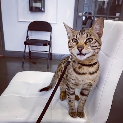 Ayr Dispensary Woodbridge