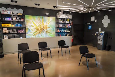 Ayr Wellness Medical Marijuana Dispensary New Castle