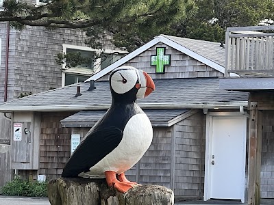 Bahama Buds Cannon Beach