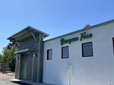 Banyan Tree Fresno