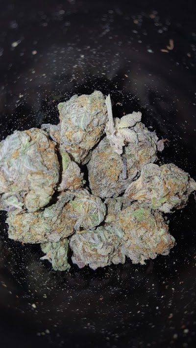 Bask Cannabis Dispensary Fairhaven