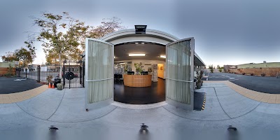 Berkeley Patients Group