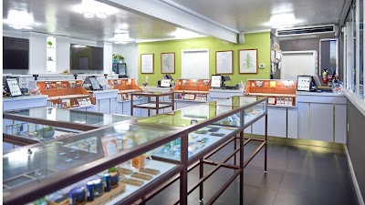 Berkeley Patients Group