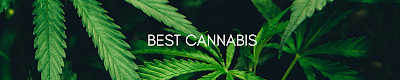 Best Cannabis- Port Hope | Delivery & Store