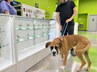 Best High Dispensary