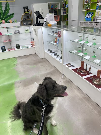 Best High Dispensary