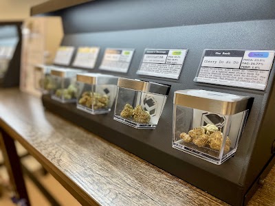 BeWell Organic Medicine