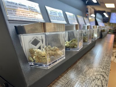 BeWell Organic Medicine