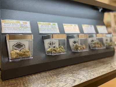 BeWell Organic Medicine