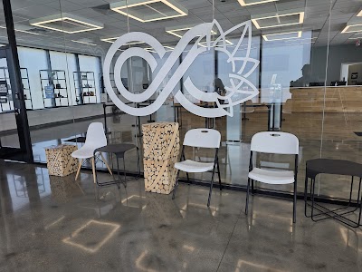 Beyond Cannabis El Dorado