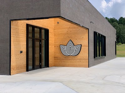 Beyond Cannabis El Dorado