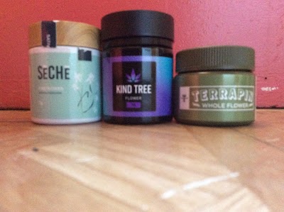 Beyond Hello Reading Dispensary (Premium Outlet)