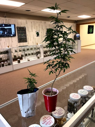 Big Buds Dispensary - Chandler