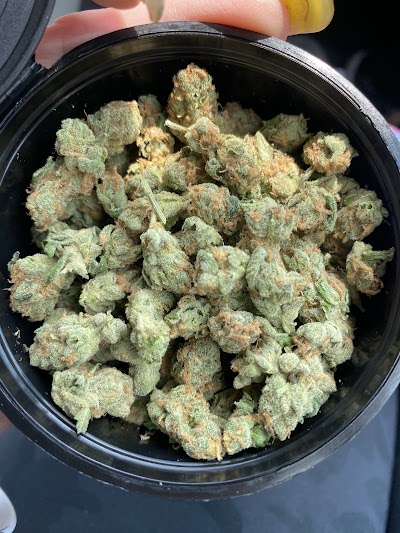 Big Chief Collective Duncan