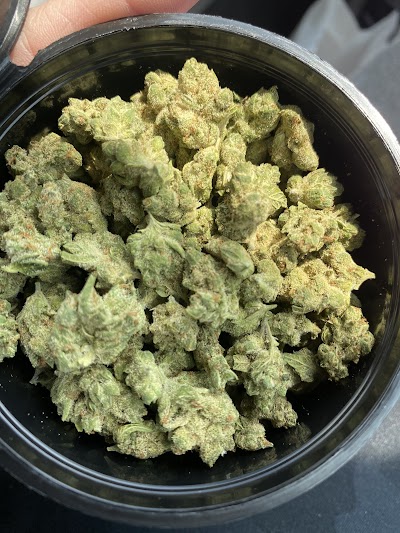 Big Chief Collective Duncan