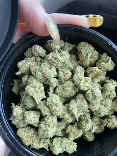 Big Chief Collective Duncan