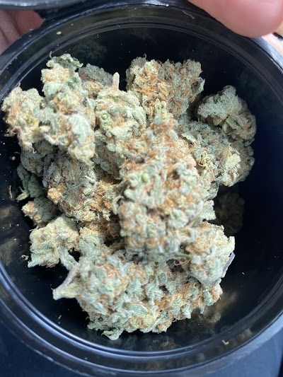 Big Chief Collective Duncan