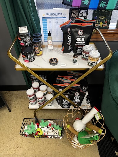 Black Bear Weed Dispensary Regent Square