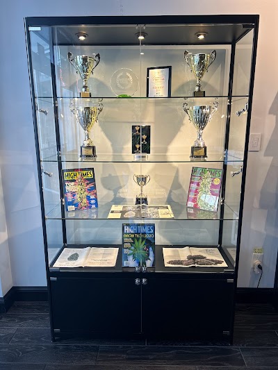 Black Tie CBD - Homewood