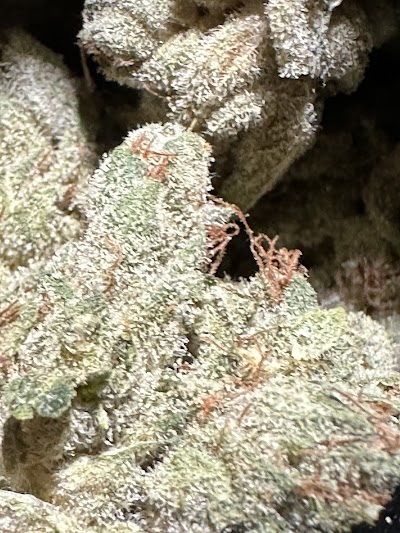 Bleu Diamond Delivery