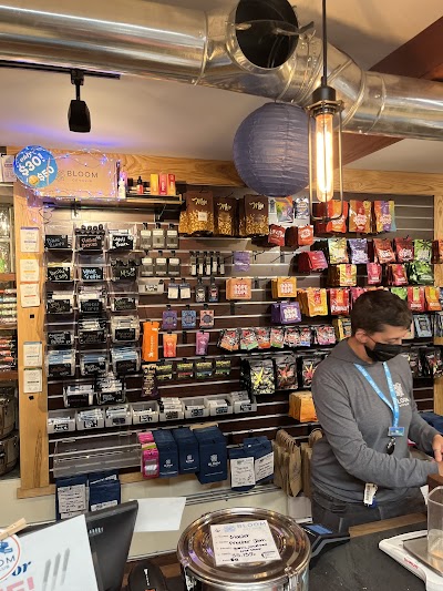 Bloom City Club Ypsilanti Dispensary