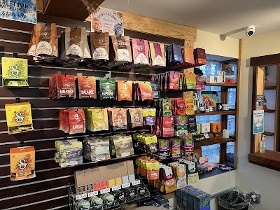 Bloom City Club Ypsilanti Dispensary