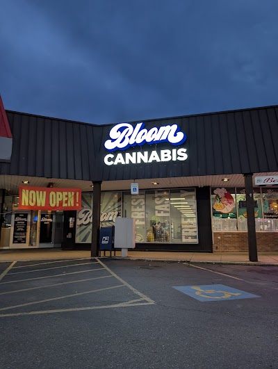 Bloom Massillon Dispensary