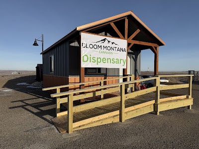 Bloom Montana (Bainville)