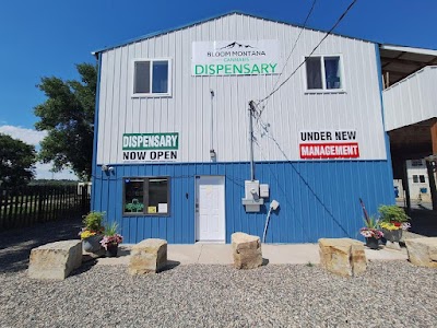 Bloom Montana (Billing-South Lockwood)