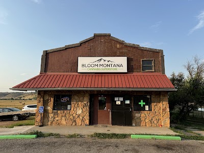 Bloom Weed Dispensary Ashland