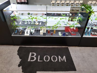 Bloom Weed Dispensary Boulder