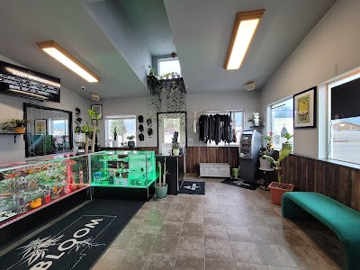 Bloom Weed Dispensary Columbia Falls