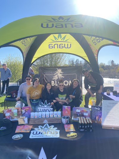 Bloom Weed Dispensary Florence