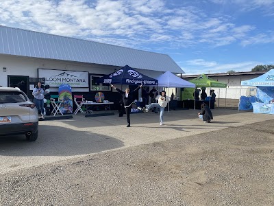 Bloom Weed Dispensary Glendive