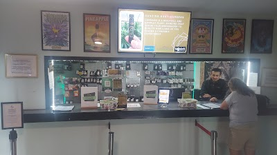 Bloom Weed Dispensary Hardin
