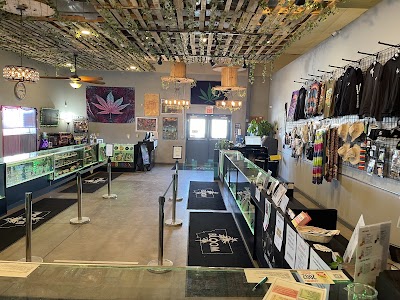 Bloom Weed Dispensary Havre