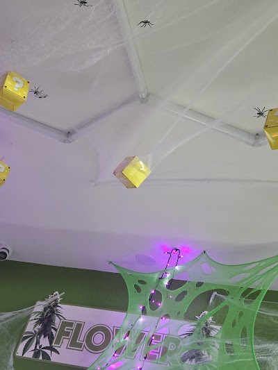 Bloom Weed Dispensary Helena